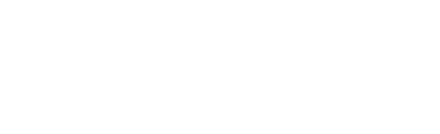 logo vizok 2